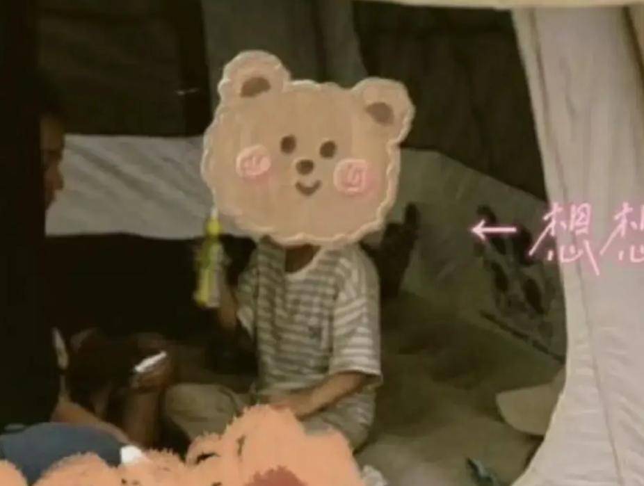 想想坐行李箱不要太萌母子俩露营超惬意冰球突破豪华版赵丽颖带娃游上海5岁(图14) 想想坐行李箱不要太萌母子俩露营超惬意冰球突破豪华版赵丽颖带娃游上海5岁(图14)