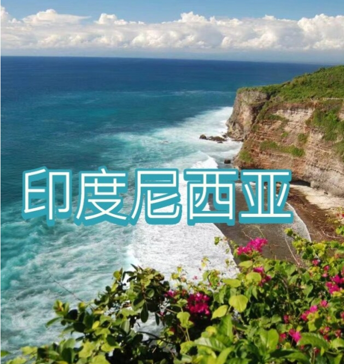 际电商(印尼)产业博览会冰球突破2025中国国(图3)